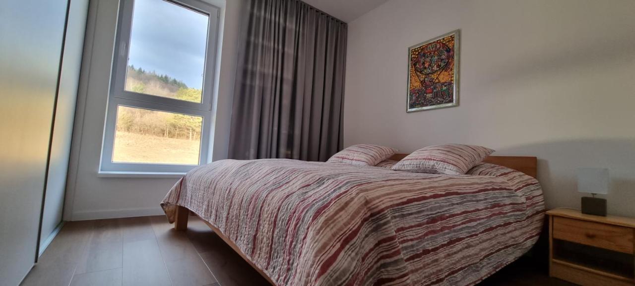 Penthouse Apartman Mineral B-4 Bardejovske Kupele Bagian luar foto